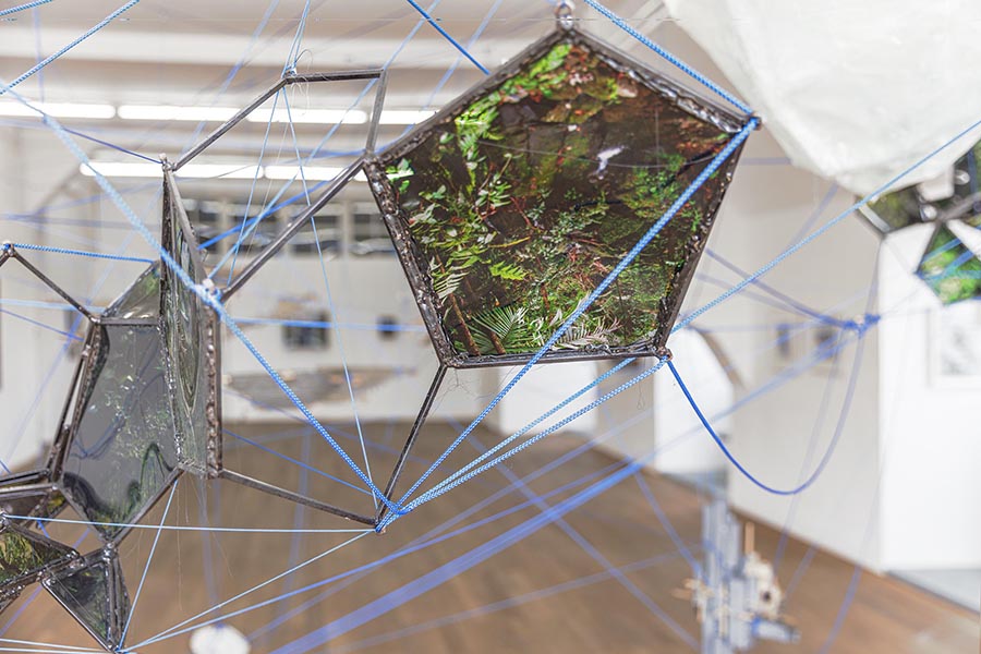 Copyright-Martin-Weiand-2021-7366